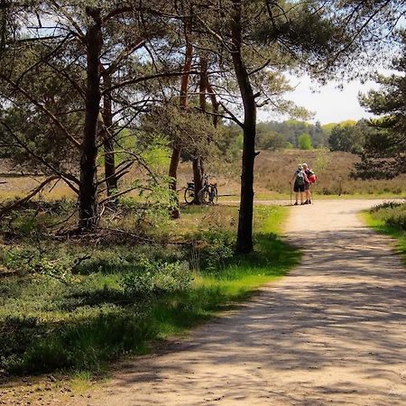 Luxe Woodlodge In Een Prachtige En Bosrijke Omgeving Bornerbroek Bagian luar foto